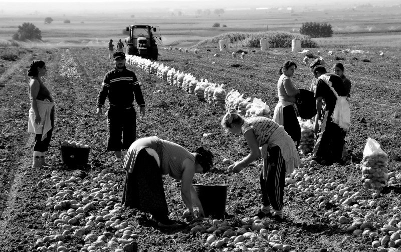 Si siembras, cosechas 