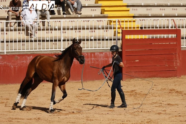 Así transcurre la segunda jornada de Salamaq