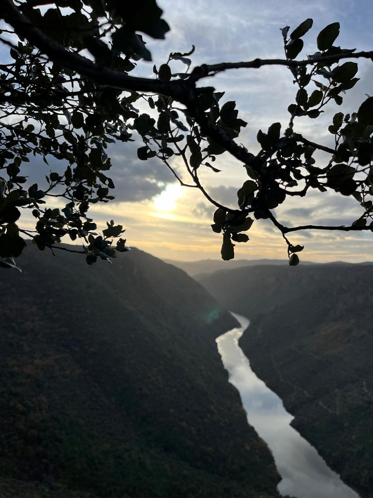 Mieza en fiestas y siempre en mi recuerdo