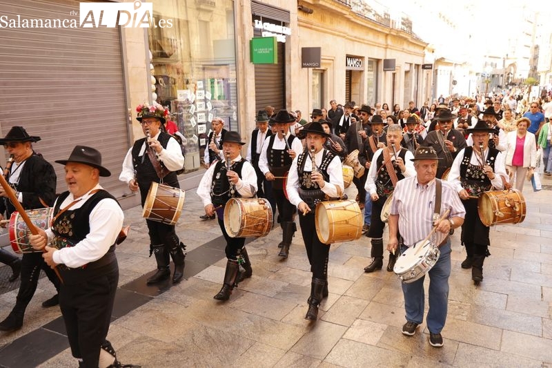 Los tambores resuenan en Salamanca para reivindicar las raíces charras