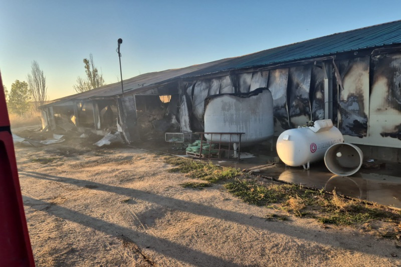 Un gran incendio calcina unas naves de conejos en Tarazona de la Guareña, con miles de estos animales muertos