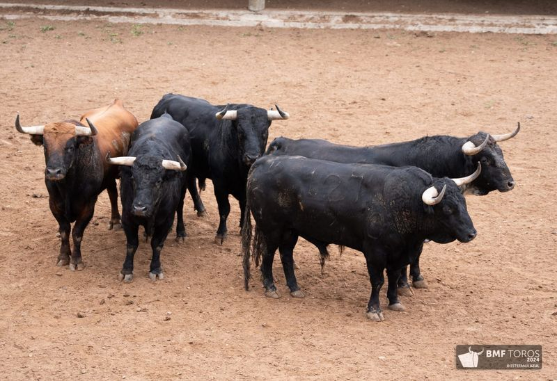 Sorteados los de Garcigrande para un cartel de lujo