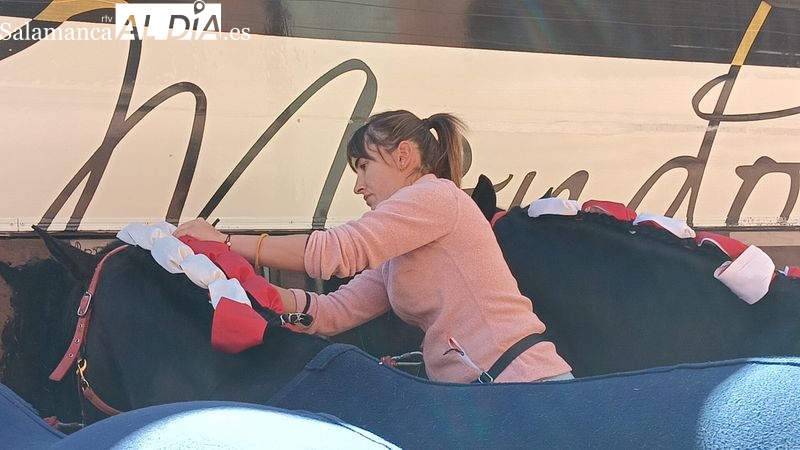 Así se preparan los caballos toreros para el adiós de Pablo Hermoso en La Glorieta