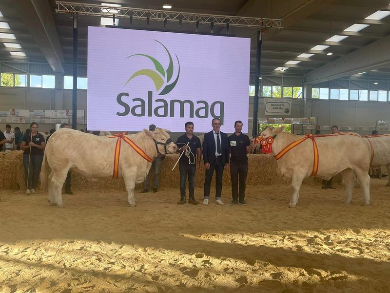 Clasificación final del XXXV Concurso Nacional de Ganado Vacuno de la Raza Charolesa