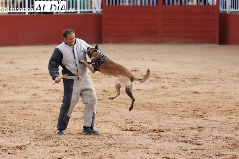 Las mejores fotos de la tercera jornada de Salamaq