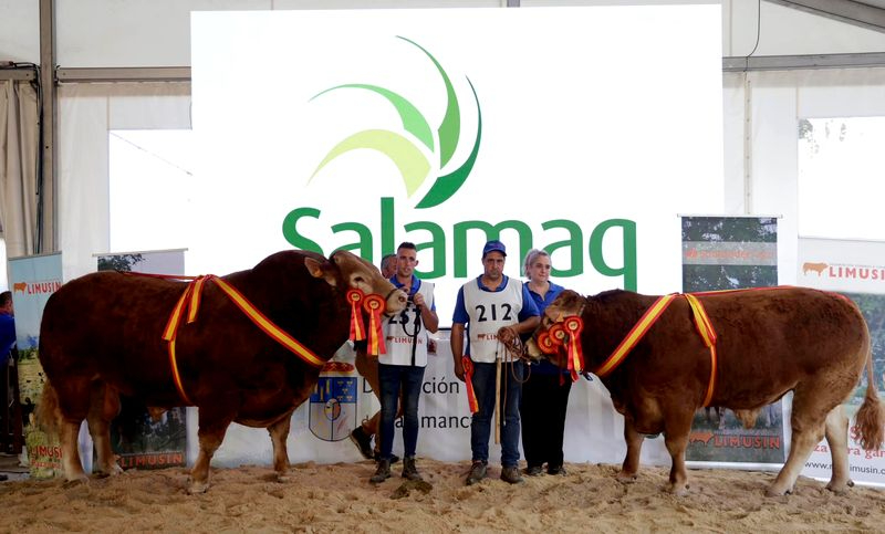Resultados del 32 Concurso Nacional de Raza Limusina