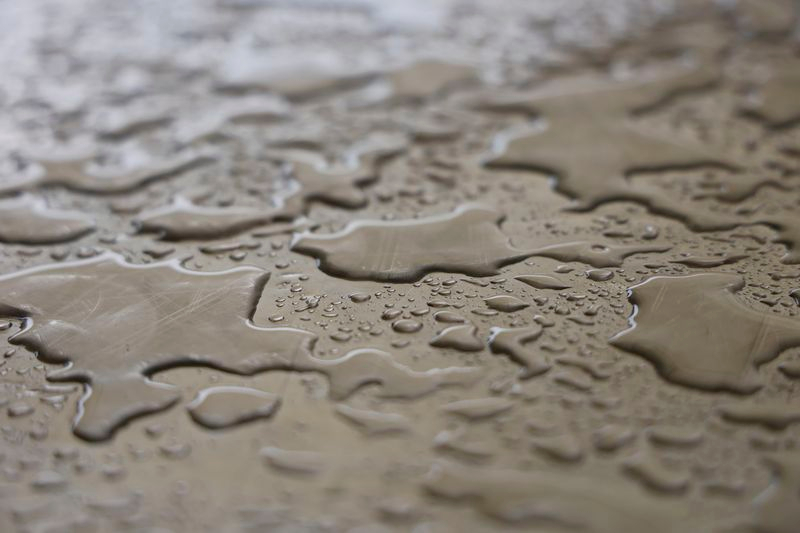 El poder de las palabras 