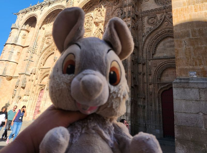La búsqueda de un peluche en Salamanca se hace viral por esta historia de una familia francesa 