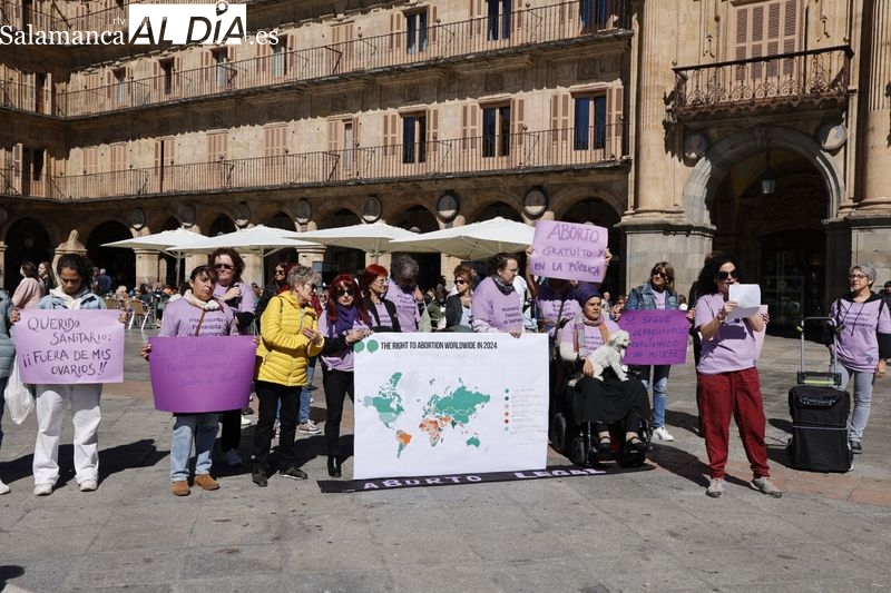 Aborto gratuito y en la pública, el Movimiento Feminista de Salamanca reivindica este derecho  