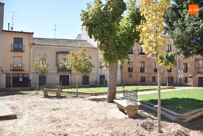 Sustituidos otros dos árboles de la Plazuela de San Salvador