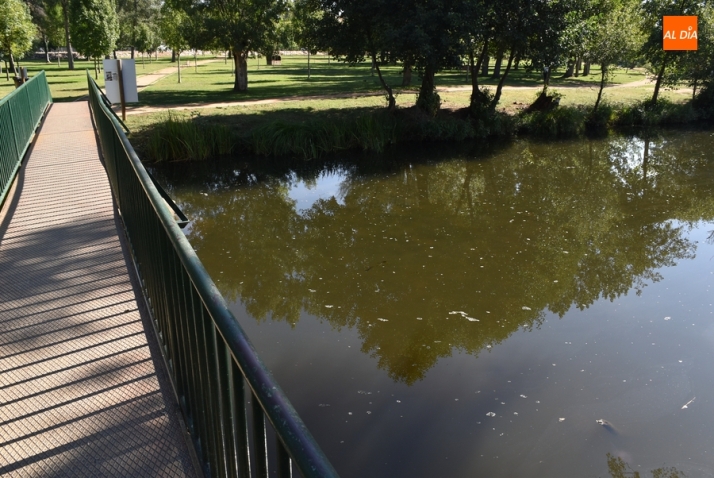 Asenavis organiza una concentración en defensa del río Águeda