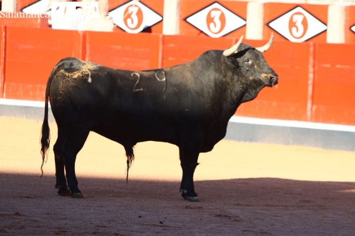 Apuntes del desenjaule 