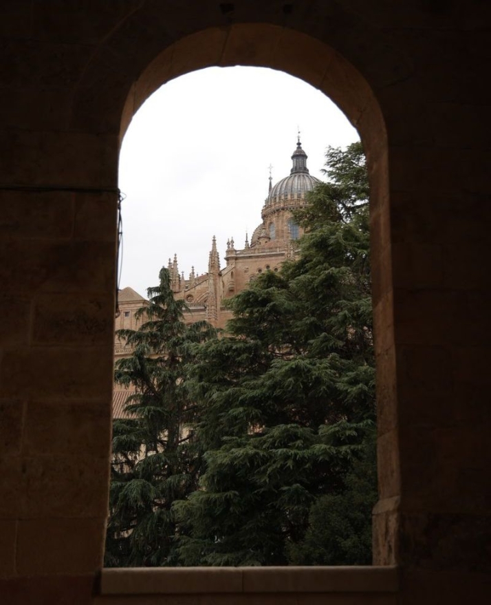 El encanto de los días oscuros 