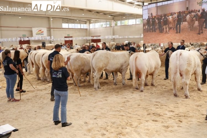 Este es el programa de Salamaq para este sábado