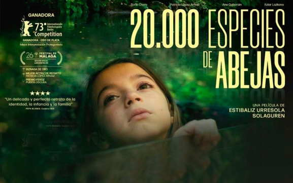 Este domingo vuelve el cine a Vitigudino varias décadas después de su desaparición