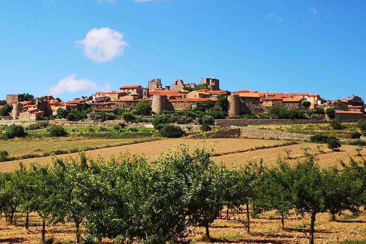 La primera Feria Agrícola Transfronteriza resaltará la agropecuaria de la Raya