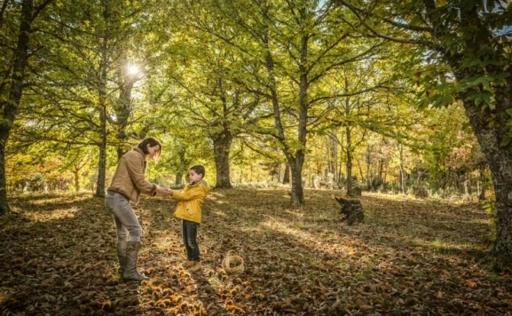 Peñaranda y comarca, incluidos dentro del programa de actividades otoñales Castañicultura de la Diputación