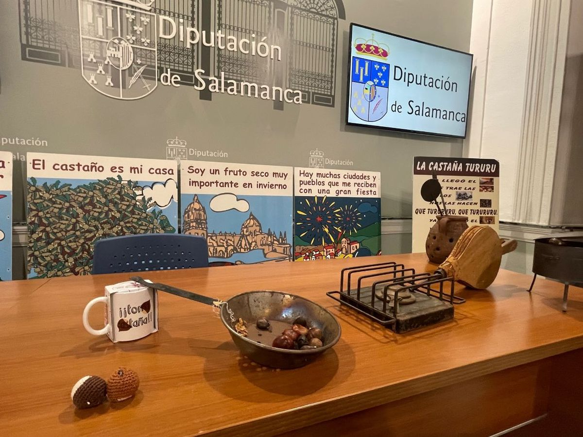 Arranca el programa Castañicultura 2024 en la provincia de Salamanca 