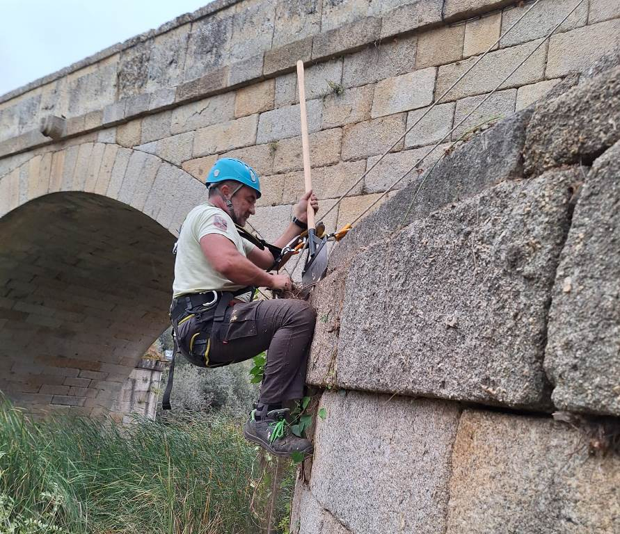 Concluye la retirada de la vegetación del Puente Mayor