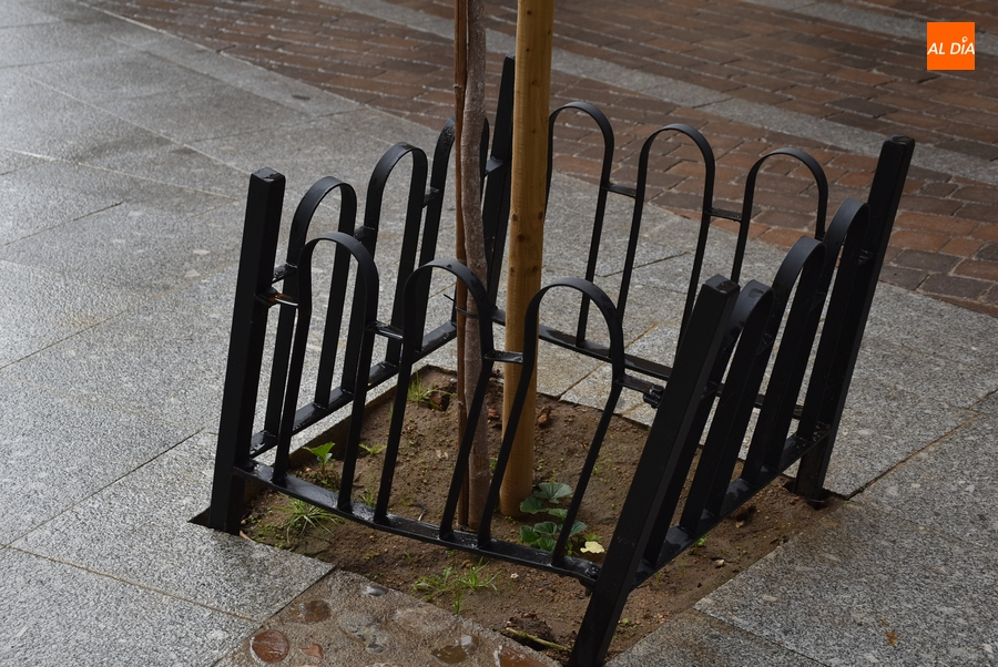 1Foto: Va a hacer falta protección para la protección