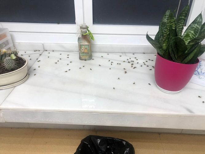 Denuncian las condiciones inhumanas del centro de Salud Garrido Norte