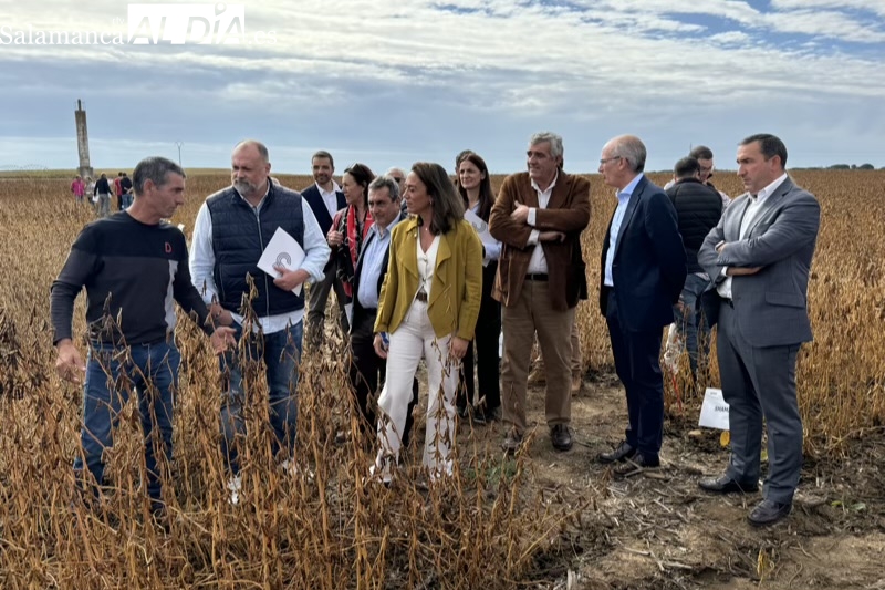 Muestran en Arabayona de Mógica las posibilidades y el futuro de la soja como cultivo alternativo