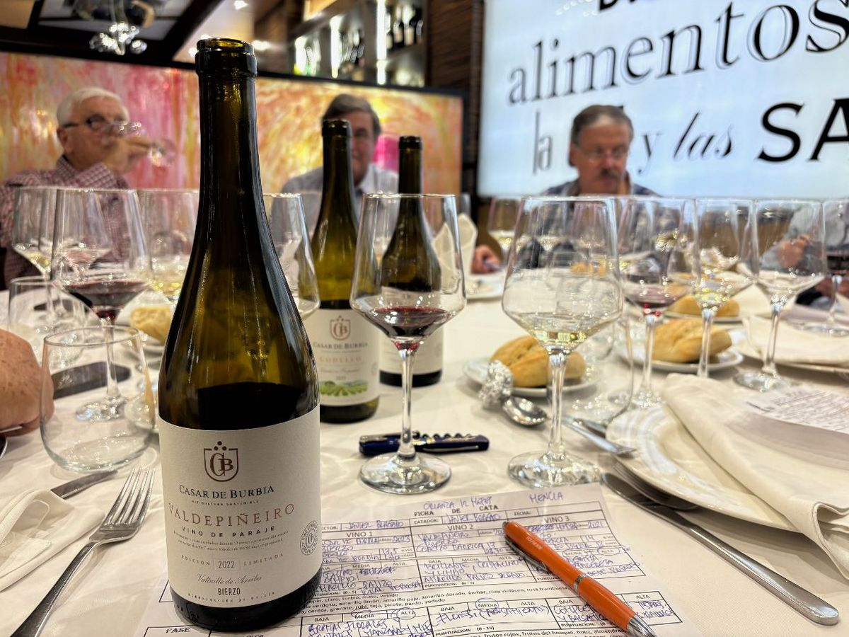 Cata: Valdepiñeiro 2022, D.O. Bierzo