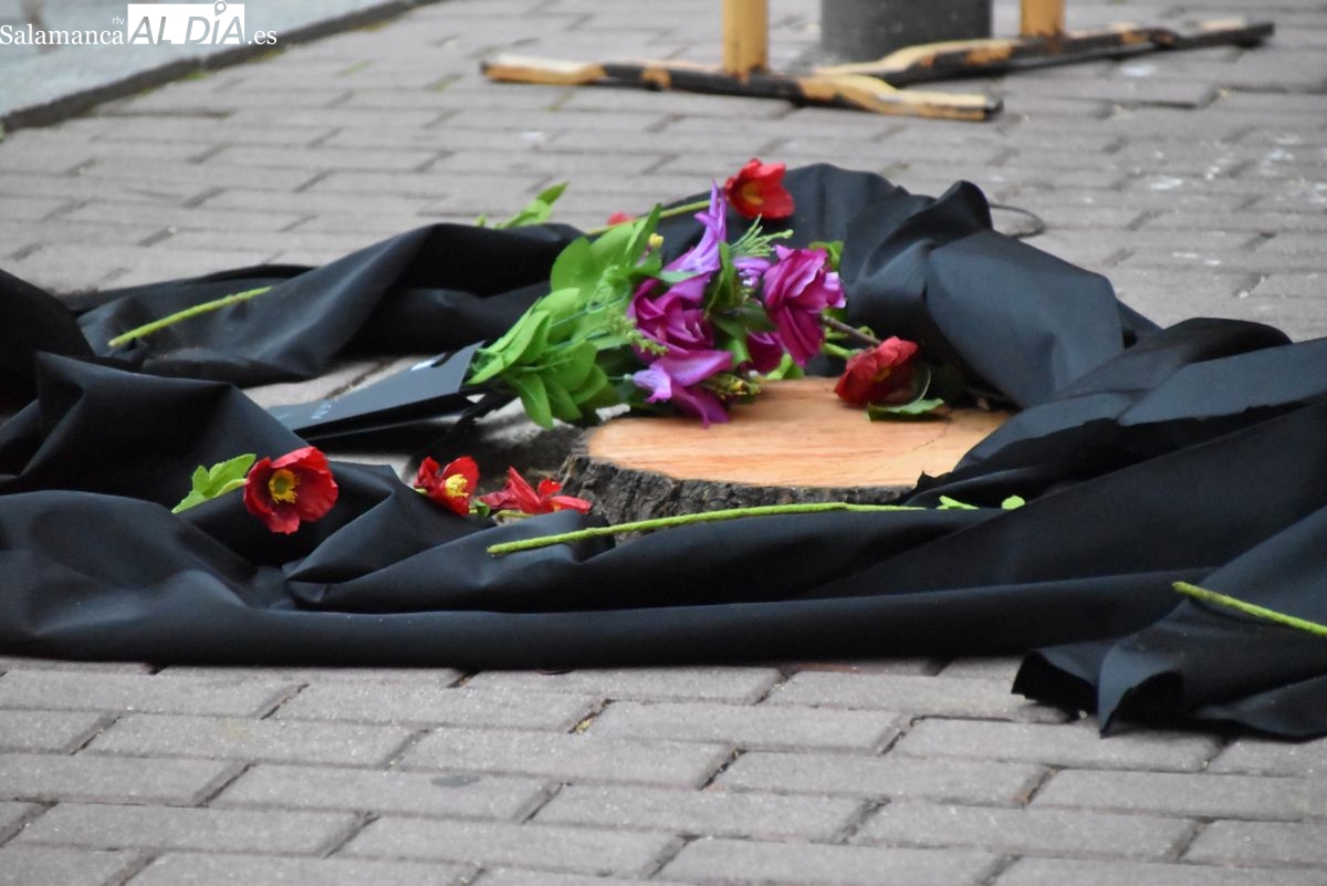 Un mausoleo para homenajear a los árboles talados de la Plaza del Oeste