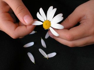 Me quiero, no me quiero