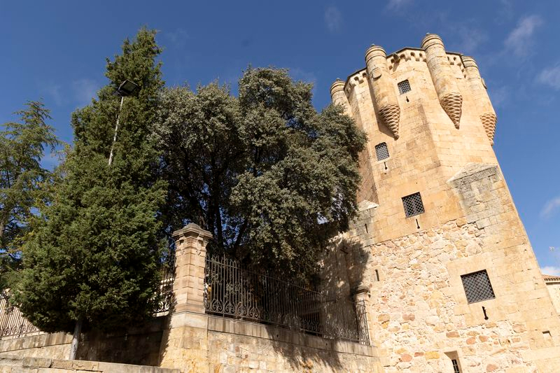 Proporción exquisita 