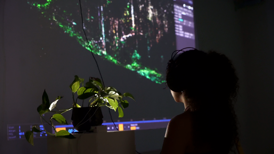 Un proyecto surgido en el MolinoLab de Sancti-Spíritus interviene en un festival en Austria