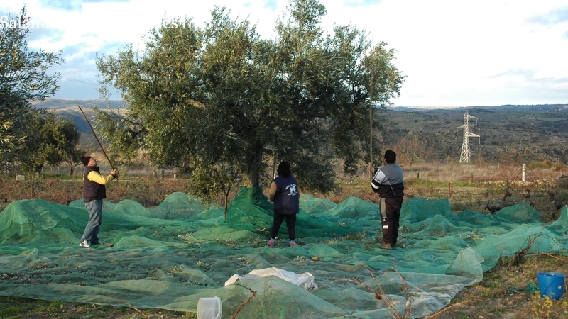  UPL logra en las Cortes la aprobación de medidas de fiscalidad diferenciada para el medio rural