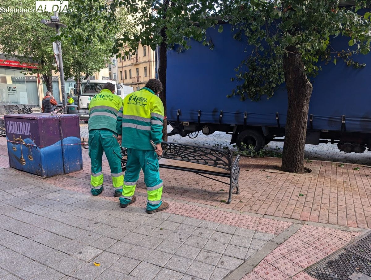 Luz verde a la retirada de doce árboles de la plaza del Oeste