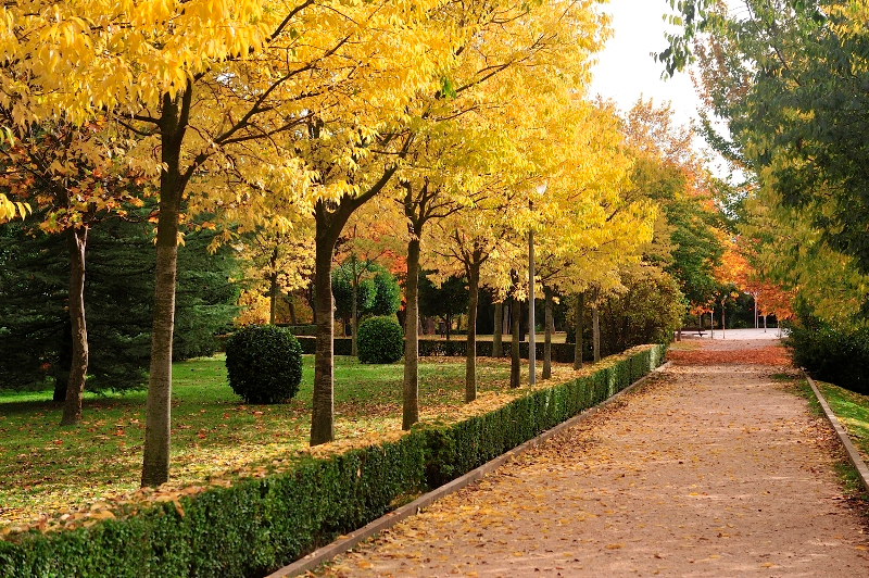 La estación más difícil 