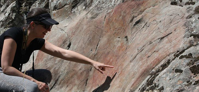 La Universidad de Salamanca acepta ser Patrono Científico de la Fundación Siega Verde