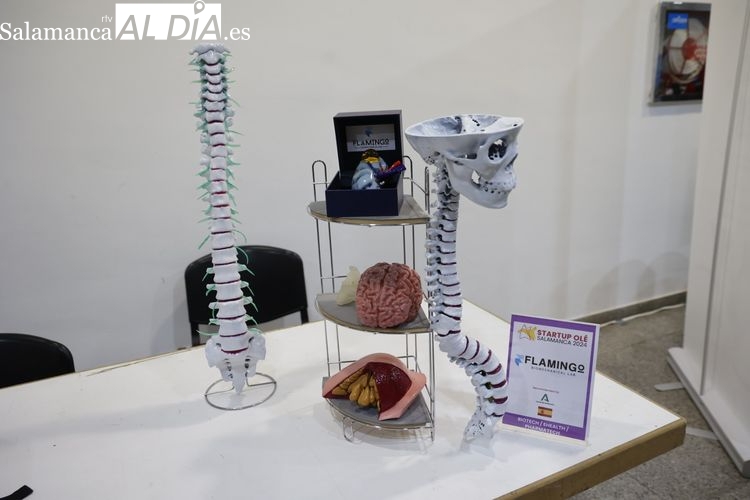 El proyecto que ha llegado a Salamanca y reduce los tiempos de cirugía hasta un 70%