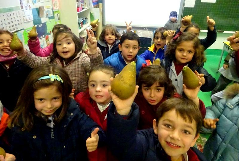 Así es la red de escuelas saludables de Castilla y León