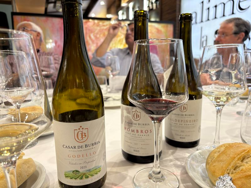 Casar de Burbia 2023 Godello