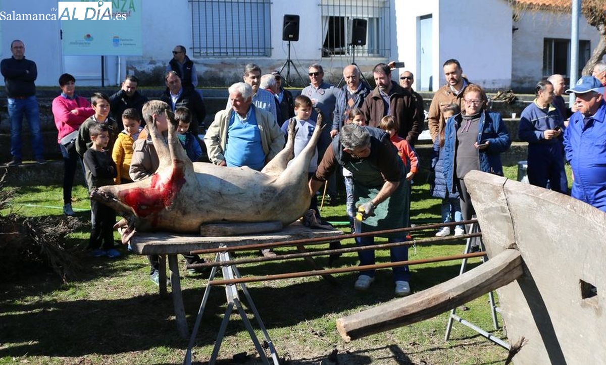 Calendario y localidades de la Fiesta de la Matanza Tradicional