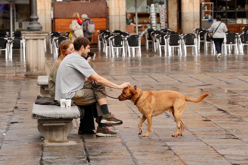 Fidelidad inquebrantable 