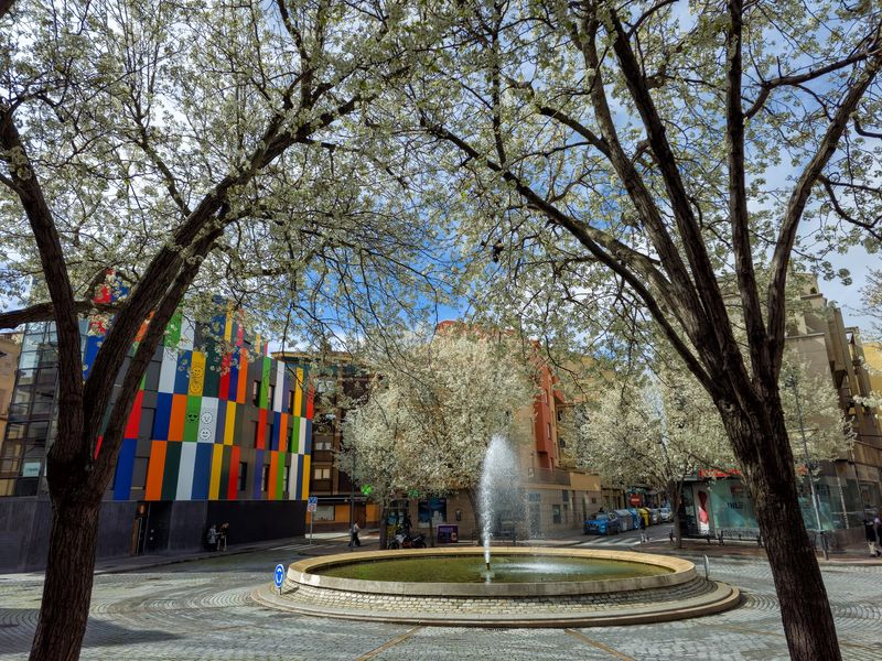 Preocupación vecinal por el anuncio de la tala de los árboles de la plaza del Oeste