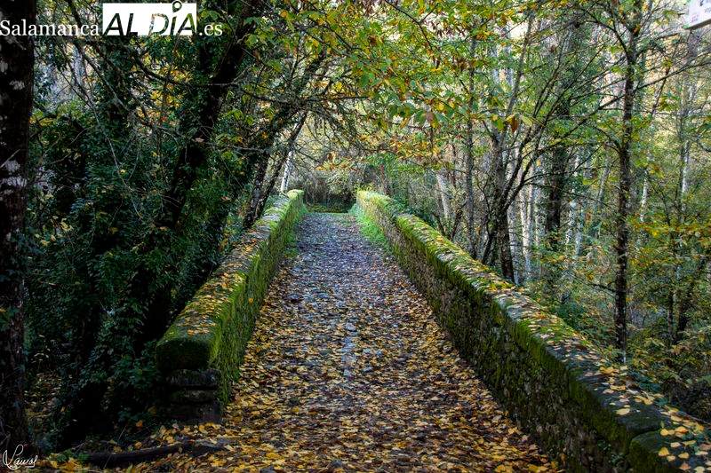 Gastronomía, naturaleza y cultura en estas dos rutas en la Sierra de Béjar 