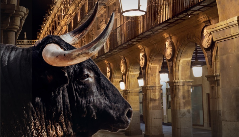 Interesante congreso veterinario sobre el toro de lidia en Salamanca