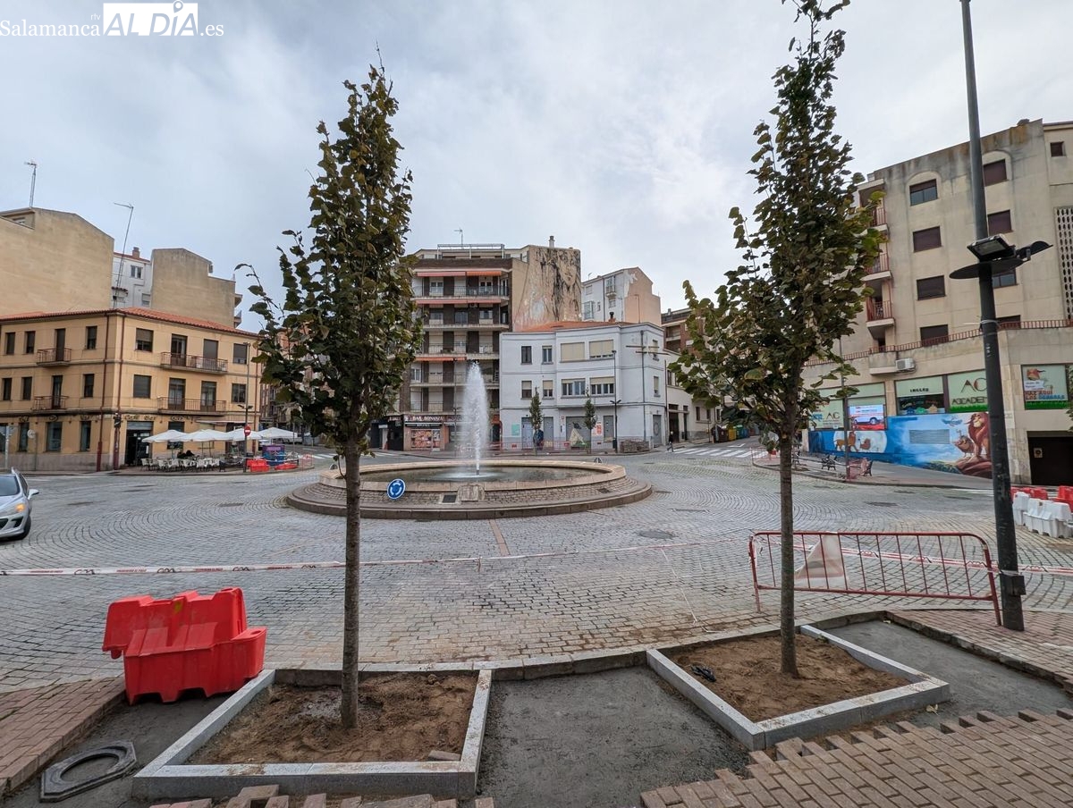 Así luce la plaza del Oeste con sus nuevos árboles (FOTOS)