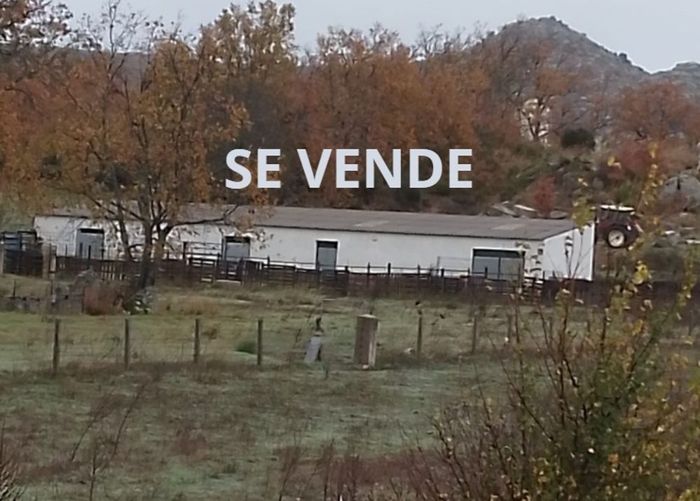 Oportunidad de negocio en el sector ganadero: se vende nave y finca en la provincia de Salamanca