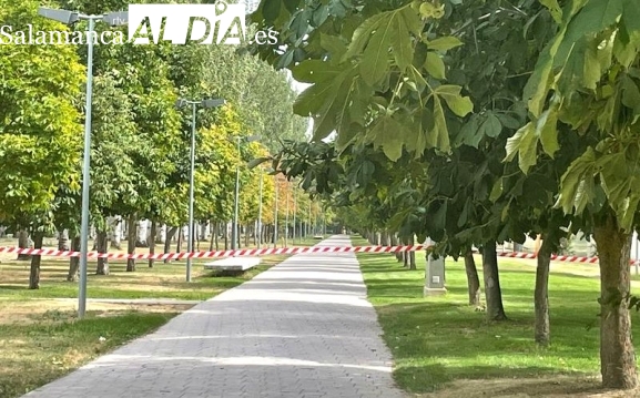 El Ayuntamiento de Salamanca cierra ocho parques por las fuertes rachas de viento