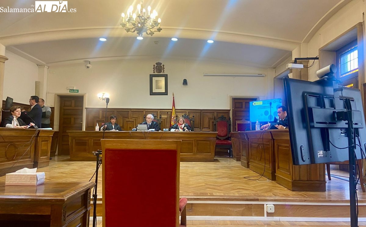 60 días de trabajos comunitarios tras agredir a su pareja y amenazar con tirarla desde el balcón en la provincia de Salamanca 