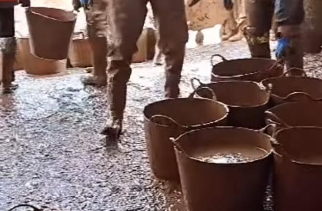 Salmantinos crean un perfil de Instagram para recaudar fondos destinados a los afectados por la DANA