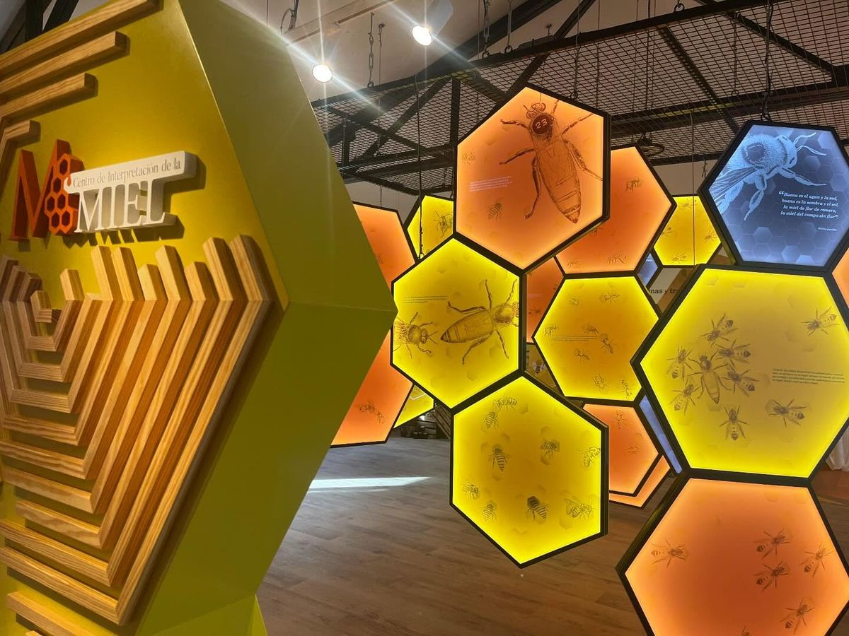 Nuevo atractivo turístico para recuperar el patrimonio apícola de la Sierra de Francia