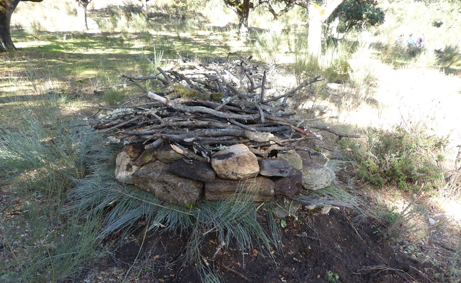 Campanarios organiza una jornada de construcción de refugios para anfibios y reptiles